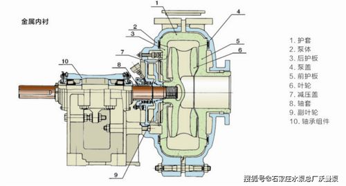 石家庄泵业1.5 1B AH渣浆泵1.5 1B AH泵叶轮蜗壳
